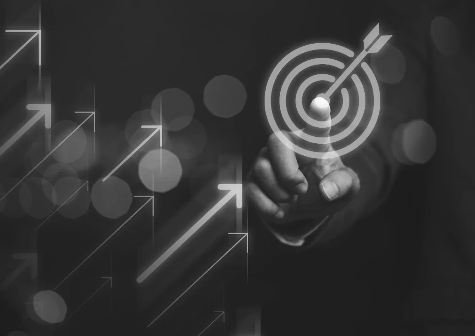 velocity-capabilities-image-bw